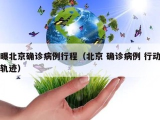 曝北京确诊病例行程（北京 确诊病例 行动轨迹）