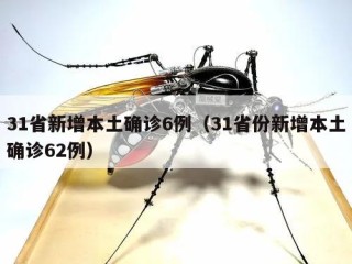 31省新增本土确诊6例（31省份新增本土确诊62例）
