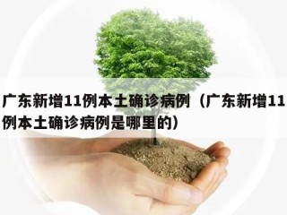 广东新增11例本土确诊病例（广东新增11例本土确诊病例是哪里的）