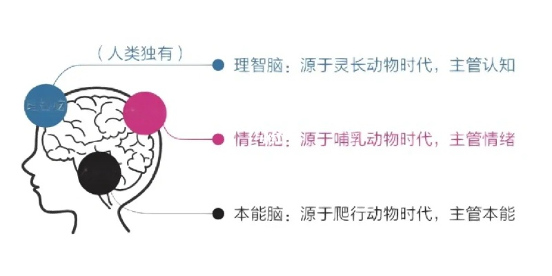 XC新橙APP✅|🈷️最后想说:人脑的自由 XC新橙APP✅|🈷️最后想说:人脑的自由